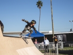 Skateboard ramp at the Air + Style Festival at Exposition Park. Photo by Rayana Chumthong