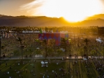 Coachella 2017, Weekend 1. Photo by Charles Reagan Hackleman, courtesy of Coachella