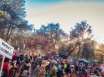 Scene from the Desert Hearts Festival at Los Coyotes Indian Reservation, April 26-29, 2019 (Photo by Peter Spreyer)