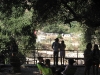 2nd-new-la-folk-fest-scene-at-zorthian-ranch-12