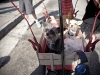 dogs-of-silver-lake-jubilee-201205