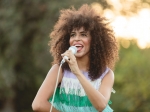 Gavin Turek at Tarfest, Sept. 26, 2015. Photo by David Benjamin