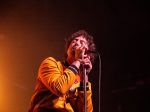 Albert Hammond Jr. at the Fonda Theatre, March 8, 2019. Photo by Samuel C. Ware