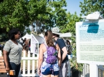 Scene at Arroyo Seco Weekend, June 24, 2017. Photo by Samantha Saturday