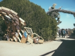 Scene from Desert Daze 2017. Photo by Zane Roessell