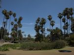 Echo Park Lake, Saturday, Aug. 17, 2019. Photo by Notes From Vivace