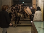 First Fridays at the Natural History Museum, Feb. 5, 2016 (Photo by Carl Pocket)
