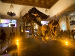 First Fridays at the Natural History Museum, Feb. 5, 2016 (Photo by Carl Pocket)