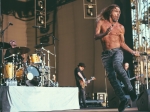 Iggy Pop at FYF Fest, July 23, 2017. Photo by Zane Roessell