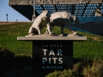 Tarfest at the La Brea Tar Pits Park, Sept. 24, 2016. Photo by Maximilian Ho