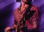 The Shelters at the Moroccan Lounge, August 6, 2019. Photo by Bryan Greenberg .
