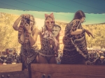 Woogie Weekend, July 8-10 at Oak Canyon Park (Photo by Glen Ayrton Silva)