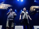Run the Jewels at Adult Swim Festival. Photo by Samuel C. Ware
